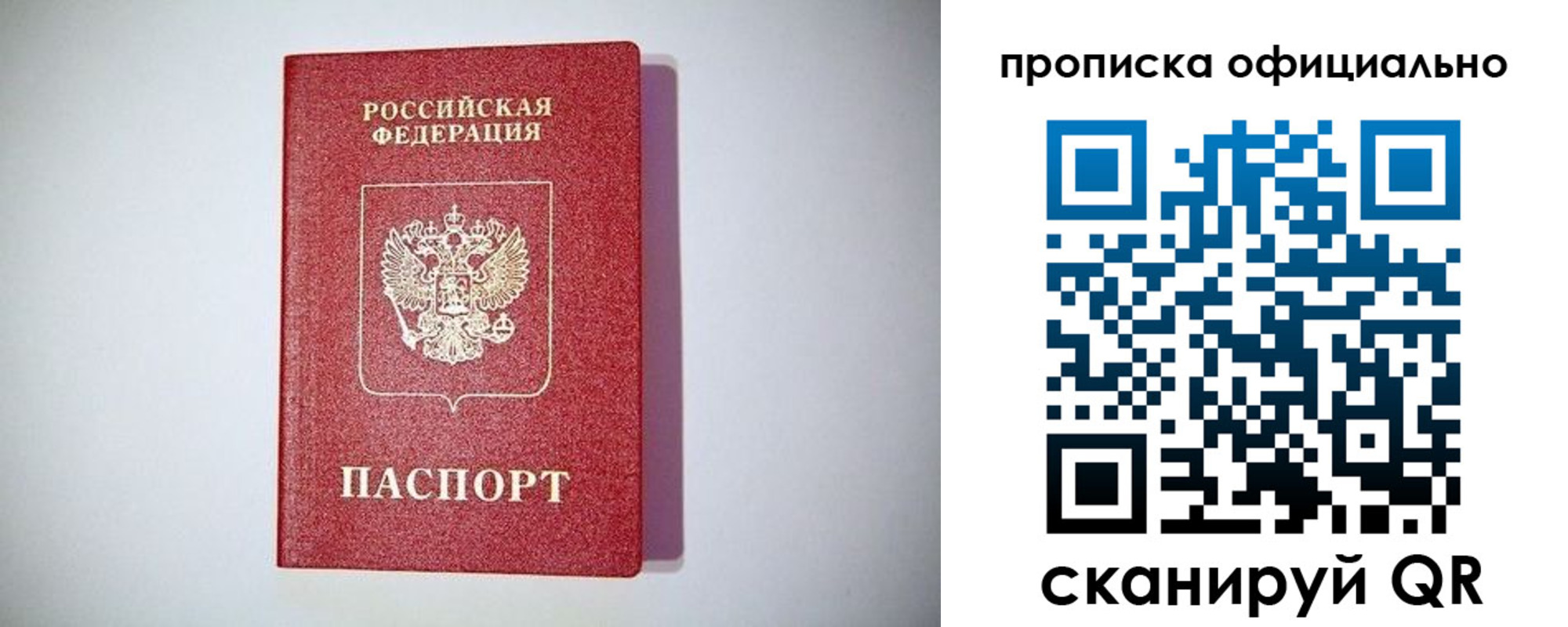 прописка в Гвардейске